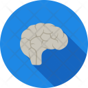 پیش‌نمایش فایل brain-280 از پک پزشکی