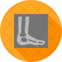 پیش‌نمایش فایل foot-31 از پک پزشکی