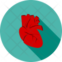 پیش‌نمایش فایل heart-1036 از پک پزشکی