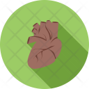 پیش‌نمایش فایل heart-1037 از پک پزشکی