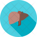 پیش‌نمایش فایل liver-32 از پک پزشکی