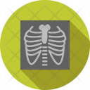 پیش‌نمایش فایل lungs-64 از پک پزشکی