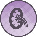 پیش‌نمایش فایل kidney-37 از پک پزشکی