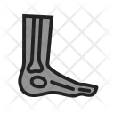 پیش‌نمایش فایل foot-33 از پک پزشکی