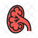 پیش‌نمایش فایل kidney-38 از پک پزشکی