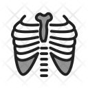 پیش‌نمایش فایل lungs-66 از پک پزشکی
