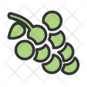 پیش‌نمایش فایل grapes-70 از پک غذا و نوشیدنی