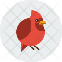 پیش‌نمایش فایل bird-39 از پک بلیکون اورجینال