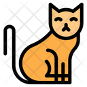 پیش‌نمایش فایل cat-6443349 از پک گربه‌ها