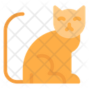 پیش‌نمایش فایل cat-6443694 از پک گربه‌ها