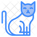 پیش‌نمایش فایل cat-6444158 از پک گربه‌ها