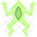 پیش‌نمایش فایل frog-8820547 از پک زیست‌شناسی