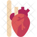 پیش‌نمایش فایل heart-8820502 از پک زیست‌شناسی