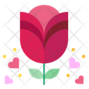 پیش‌نمایش فایل rose-3153850 از پک روز ولنتاین