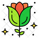 پیش‌نمایش فایل blossom-3369788 از پک روز زن