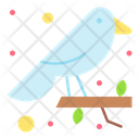 پیش‌نمایش فایل bird-3387217 از پک بهار