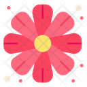 پیش‌نمایش فایل flower-3387206 از پک بهار