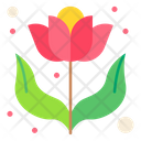 پیش‌نمایش فایل flower-3387246 از پک بهار