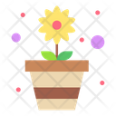 پیش‌نمایش فایل flower-pot-3387200 از پک بهار