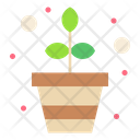 پیش‌نمایش فایل flower-pot-3387230 از پک بهار