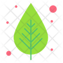 پیش‌نمایش فایل leaf-3387203 از پک بهار