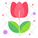 پیش‌نمایش فایل tulip-3387229 از پک بهار