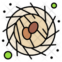 پیش‌نمایش فایل bird-nest-3387171 از پک بهار