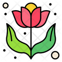 پیش‌نمایش فایل flower-3387196 از پک بهار