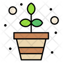 پیش‌نمایش فایل flower-pot-3387180 از پک بهار