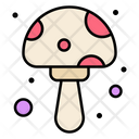 پیش‌نمایش فایل mushroom-3387151 از پک بهار