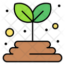 پیش‌نمایش فایل plant-seeds-3387158 از پک بهار