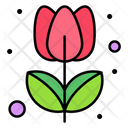 پیش‌نمایش فایل tulip-3387179 از پک بهار