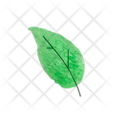 پیش‌نمایش فایل leaf-3576703 از پک طبیعت و حیوان