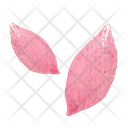 پیش‌نمایش فایل leaf-3576704 از پک طبیعت و حیوان