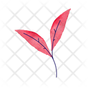 پیش‌نمایش فایل leaf-3576705 از پک طبیعت و حیوان