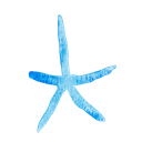 پیش‌نمایش فایل star-fish-3576712 از پک طبیعت و حیوان