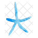 پیش‌نمایش فایل starfish-3576713 از پک طبیعت و حیوان