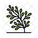 پیش‌نمایش فایل plant-3753384 از پک باغبانی