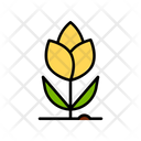 پیش‌نمایش فایل tulips-flowers-3753392 از پک باغبانی