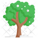 پیش‌نمایش فایل tree-8644862 از پک زمستان