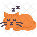 پیش‌نمایش فایل cat-napping-10037411 از پک سرپرستی گربه