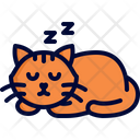 پیش‌نمایش فایل cat-napping-10037441 از پک سرپرستی گربه