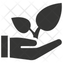 پیش‌نمایش فایل plantation-1412502 از پک کسب و کار