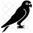 پیش‌نمایش فایل kestrel-11085033 از پک جانور جنگلی 2