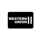 پیش‌نمایش فایل western-unino-credit-debit-bank-transaction-card از پک روش های پرداخت جلد 1