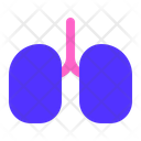 پیش‌نمایش فایل lungs-2902339 از پک پزشکی