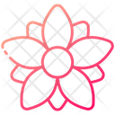 پیش‌نمایش فایل poinsettia-4403579 از پک کریسمس و سال نو