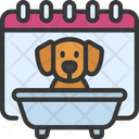 پیش‌نمایش فایل pet-5391415 از پک تقویم‌ها