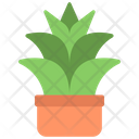 پیش‌نمایش فایل agave-plant-5411426 از پک گیاهان و گل‌ها