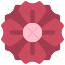 پیش‌نمایش فایل anemone-flower-5411428 از پک گیاهان و گل‌ها